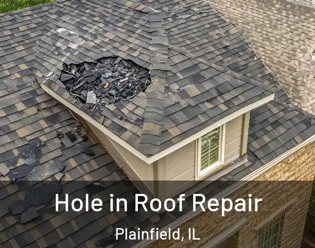  Hole in Roof Repair Plainfield, IL