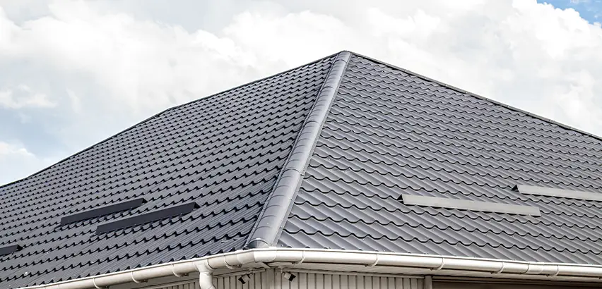 Roof Gully Repair in Plainfield