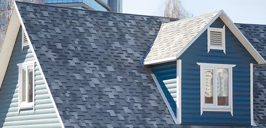 Shingle Roof Maintenance in Plainfield