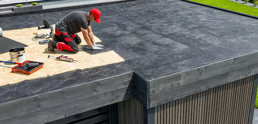 Professional TPO Roofing Services in Plainfield, IL