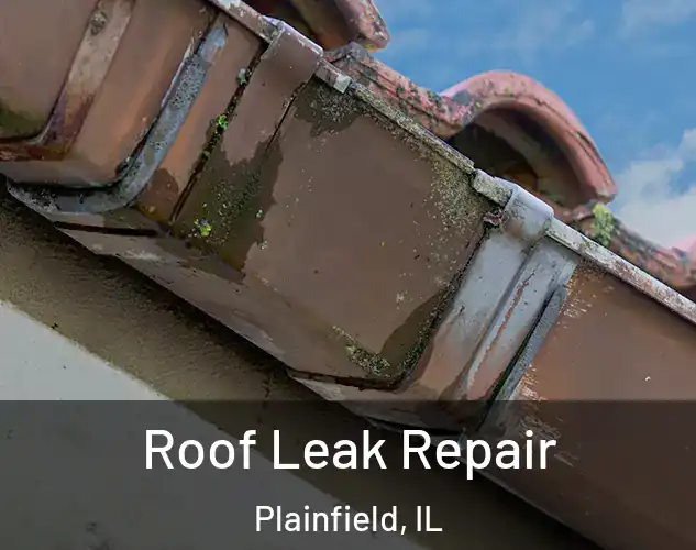  Roof Leak Repair Plainfield, IL