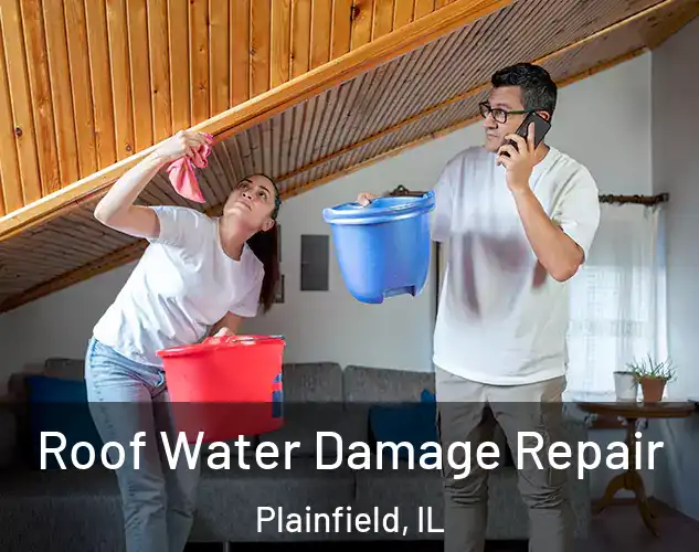  Roof Water Damage Repair Plainfield, IL